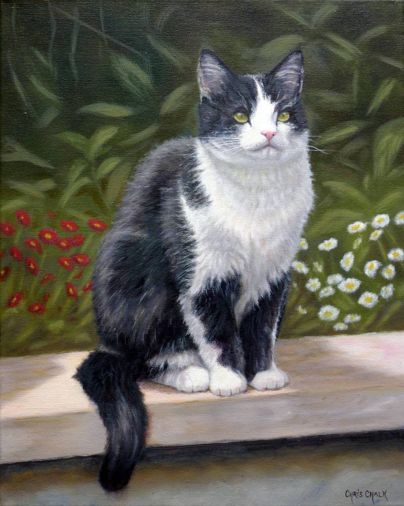 Cat pet portrait painting