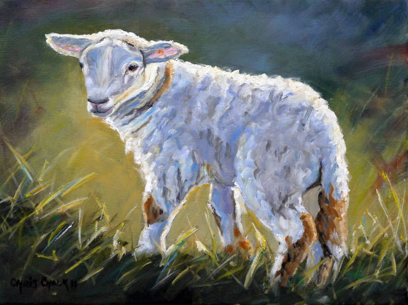 oil painting of a Lamb in sunshine