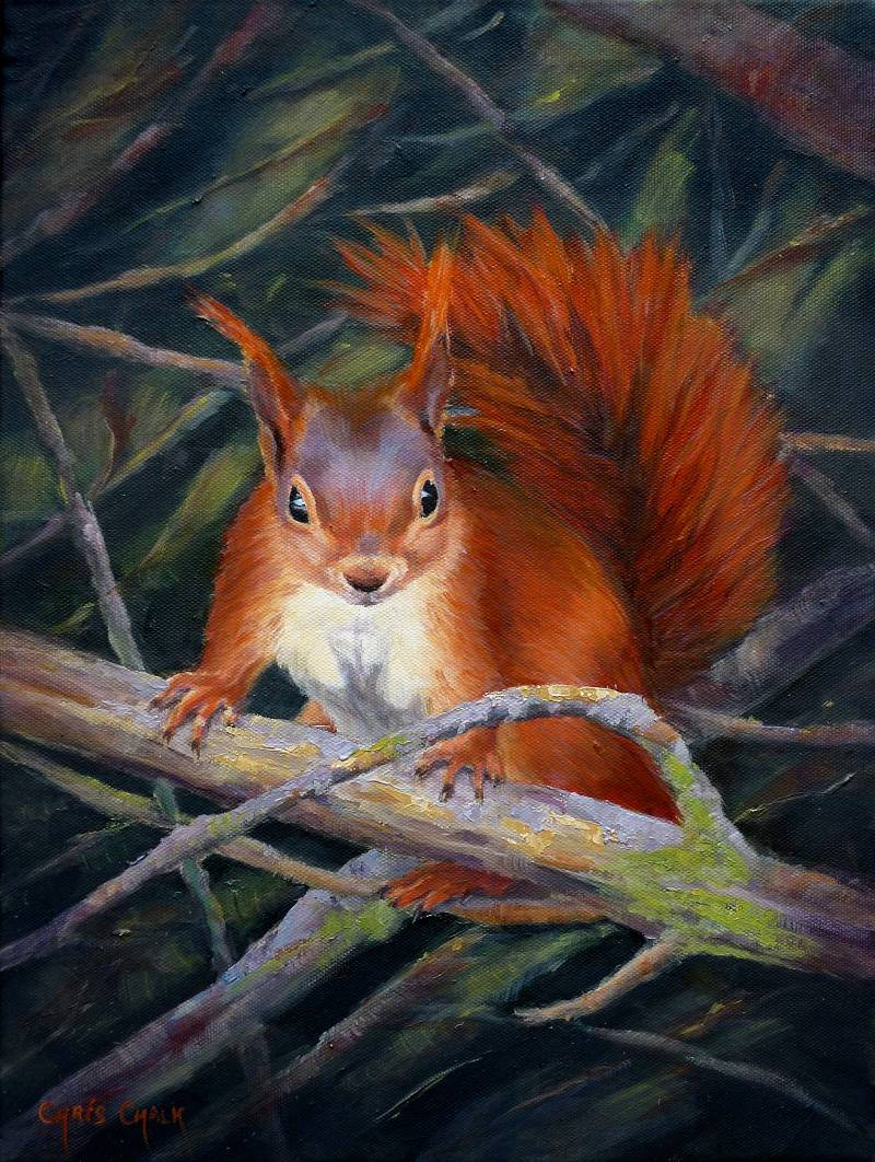 Red Squirrel print UK