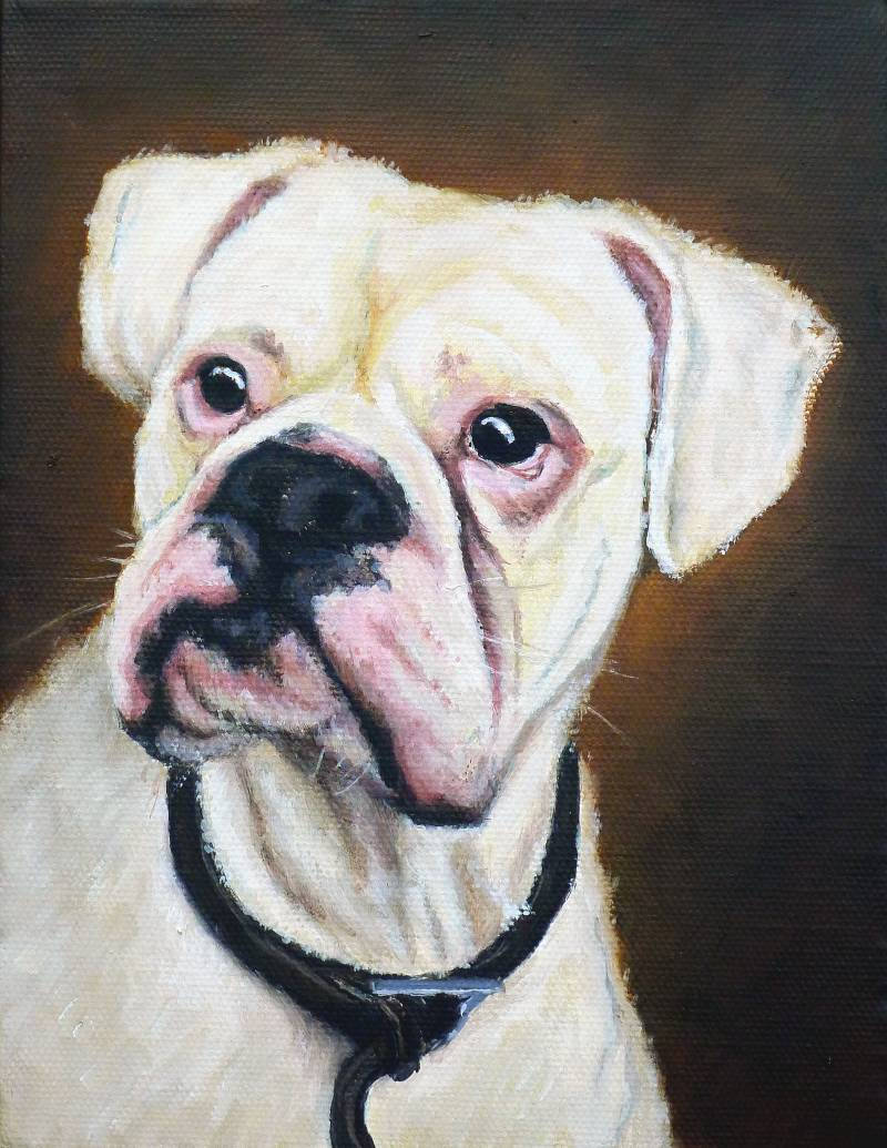 Boxer Dog portrait painting