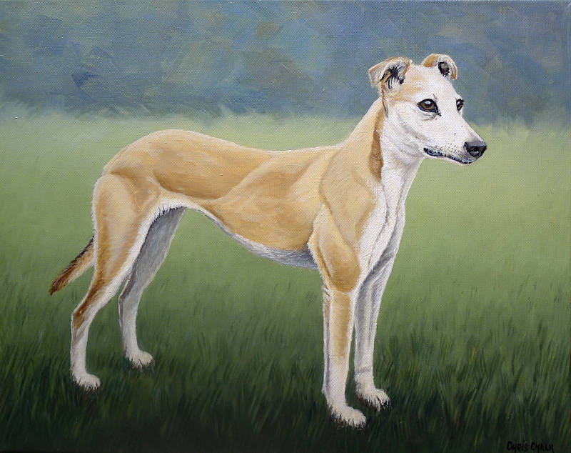 Lurcher painting pet portrait Pip