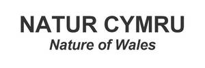 Natur Cymru Logo