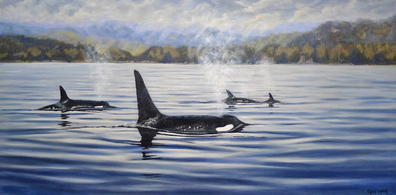 Orca Print
