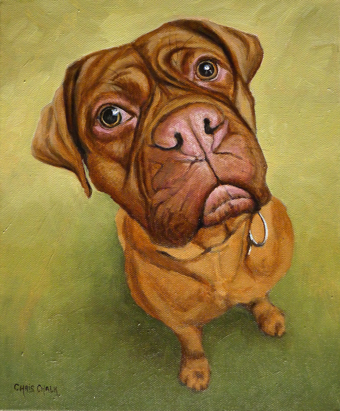 dog painting pet portrait painted in oil paint by artist Chris Chalk