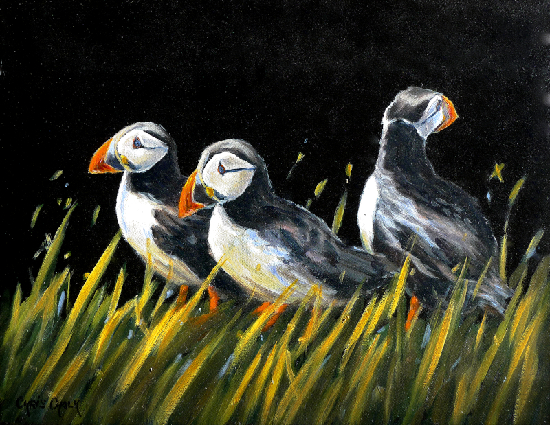 The Three amigos Puffin painting in oils on a black background