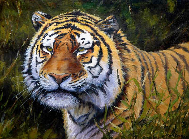 Tiger print