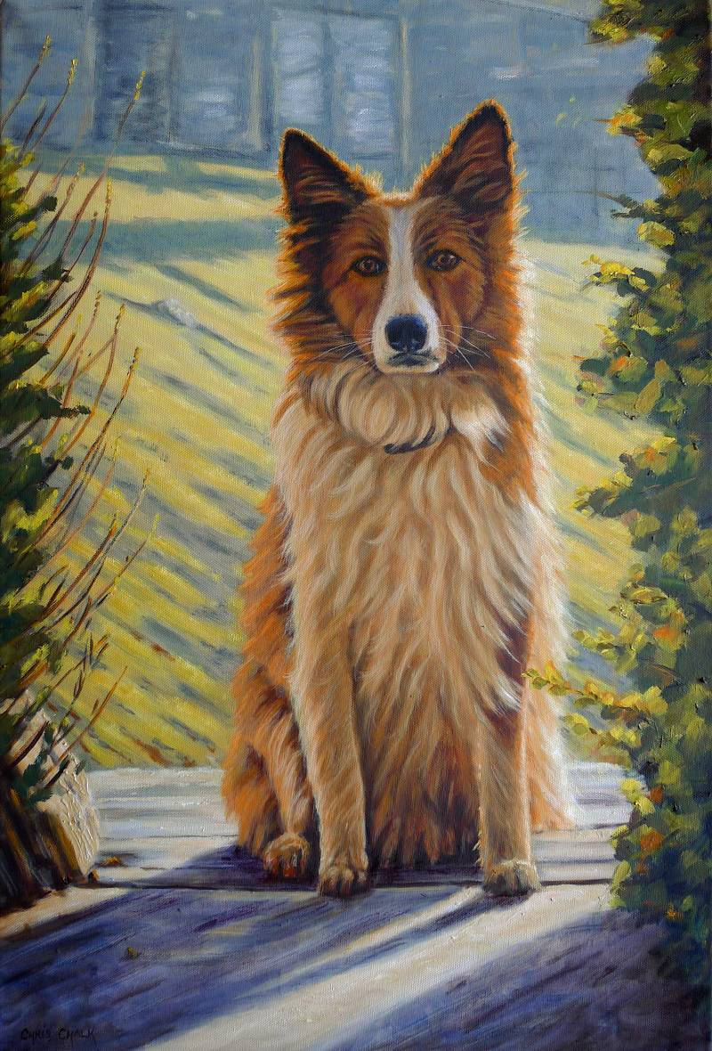 Welsh Sheepdog painting